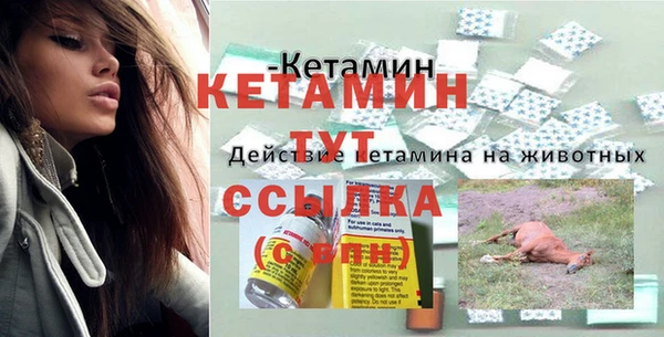 мет Протвино