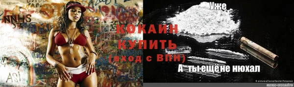 мет Протвино