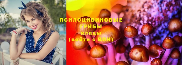 мет Протвино