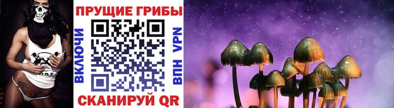 kraken вход  Старый Крым  Галлюциногенные грибы Psilocybine cubensis  купить наркоту 